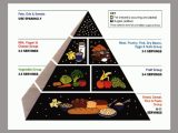 pyramide alimentaire wikipedia